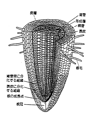 平成２２年度教育研究員 高等学校理科部会 研究発表会 - ppt download