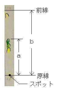 Rfの求め方