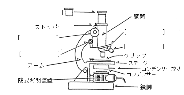 顕微鏡の各部の名称