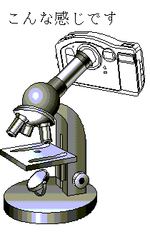 デジカメと顕微鏡